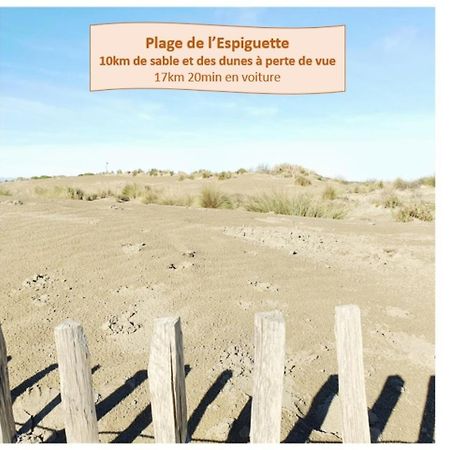 Suite Thalassa 1Ere Ligne Plages Du Couchant Wifi - Rossiconciergerie - Linge Inclus La Grande Motte Luaran gambar