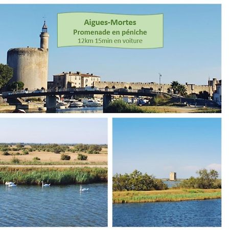 Suite Thalassa 1Ere Ligne Plages Du Couchant Wifi - Rossiconciergerie - Linge Inclus La Grande Motte Luaran gambar