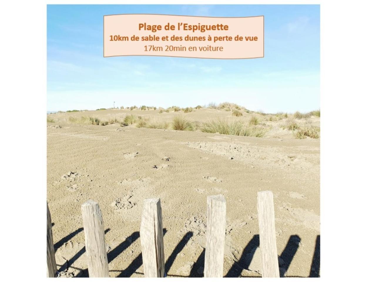Suite Thalassa 1Ere Ligne Plages Du Couchant Wifi - Rossiconciergerie - Linge Inclus La Grande Motte Luaran gambar