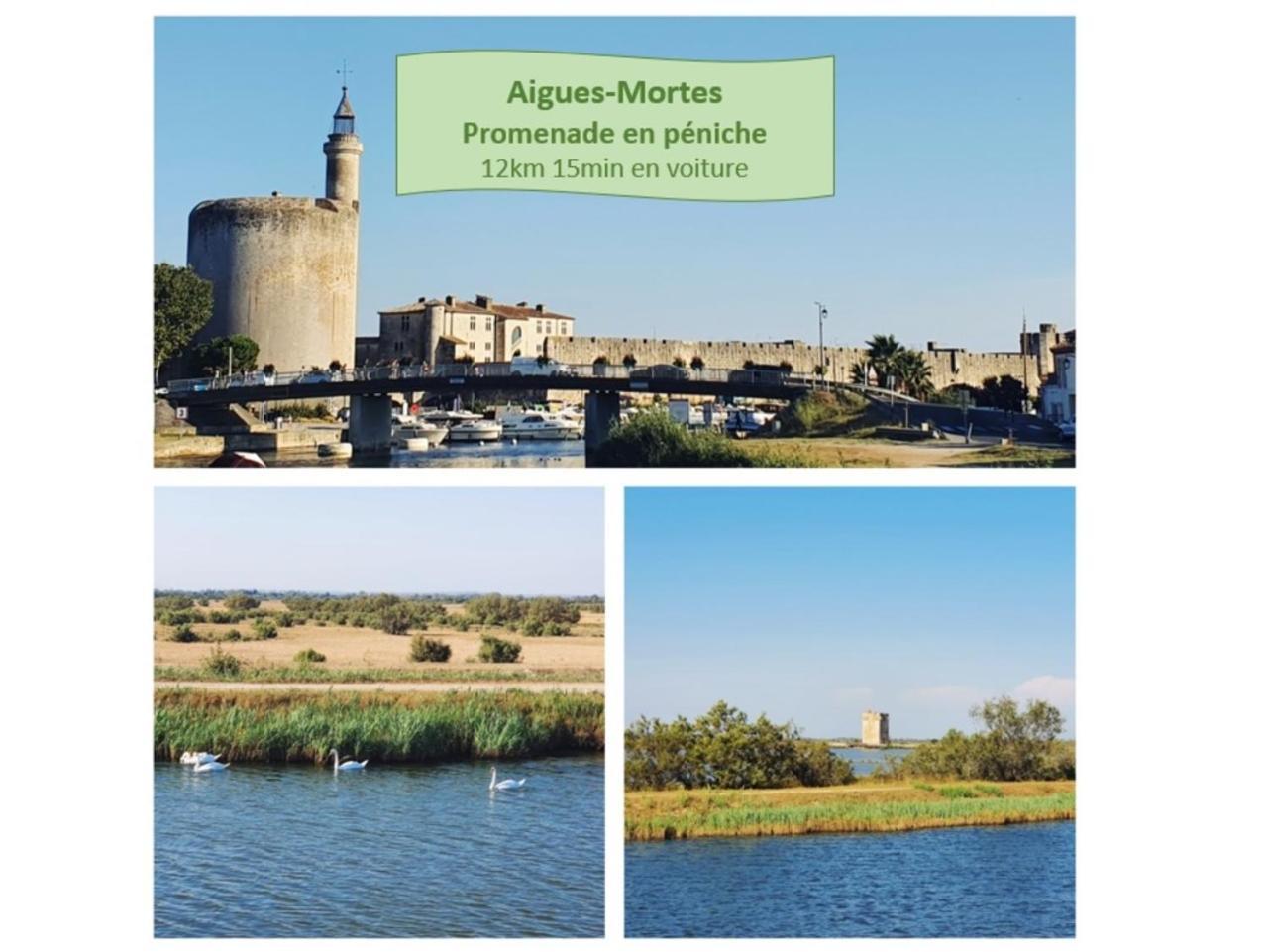 Suite Thalassa 1Ere Ligne Plages Du Couchant Wifi - Rossiconciergerie - Linge Inclus La Grande Motte Luaran gambar